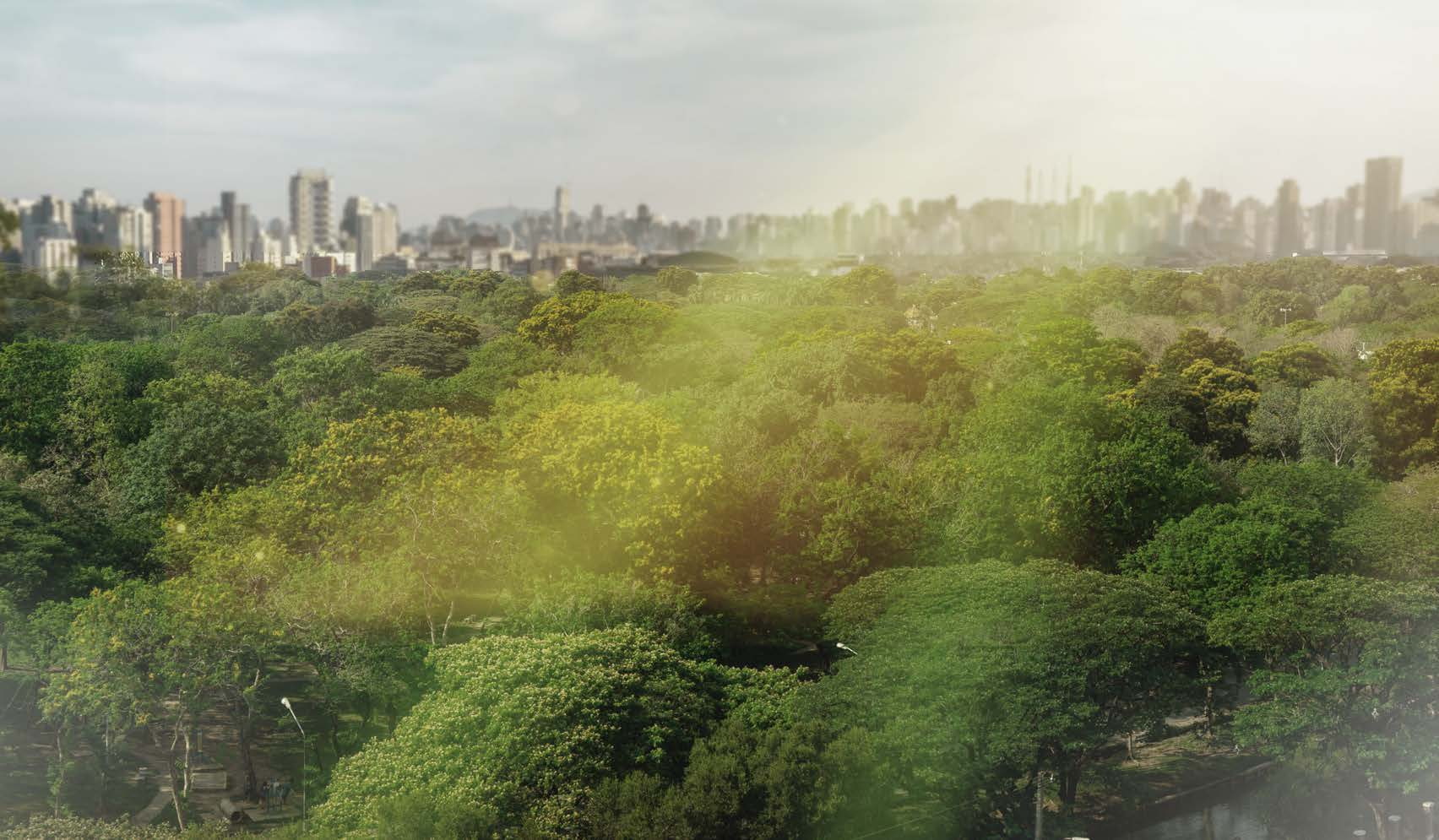 Entorno do Parque Ibirapuera — Zen, Cyrela & YOO, São Paulo